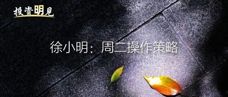徐小明 - 股票市场投资操作策略